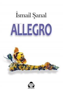 Allegro - İsmail Şanal | Yeni ve İkinci El Ucuz Kitabın Adresi