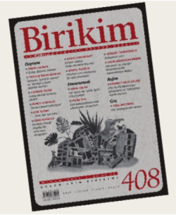 Birikim-408
