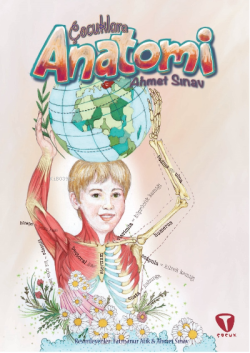Çocuklara Anatomi - Ahmet Sınav | Yeni ve İkinci El Ucuz Kitabın Adres