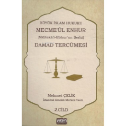 Damad tercümesi 2.cilt - Mehmet Çelik | Yeni ve İkinci El Ucuz Kitabın