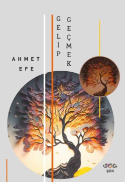 Gelip Geçmek - Ahmet Efe | Yeni ve İkinci El Ucuz Kitabın Adresi
