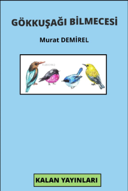Gökkuşağı Bilmecesi - Murat Demirel | Yeni ve İkinci El Ucuz Kitabın A