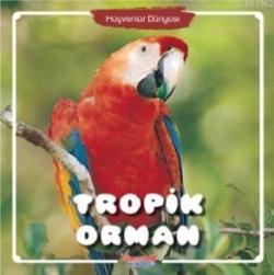 Hayvanlar Dünyası Tropik Orman - Kolektif | Yeni ve İkinci El Ucuz Kit