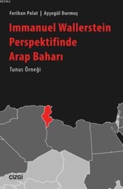 Immanuel Wallerstein Perspektifinde "Arap Baharı"; Tunus Örneği