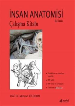 İnsan Anatomisi Çalışma Kitabı - Mehmet Yıldırım | Yeni ve İkinci El U