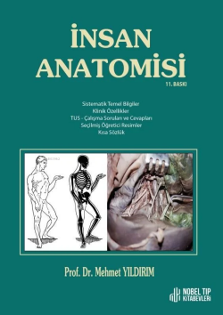 İnsan Anatomisi - Mehmet Yıldırım | Yeni ve İkinci El Ucuz Kitabın Adr