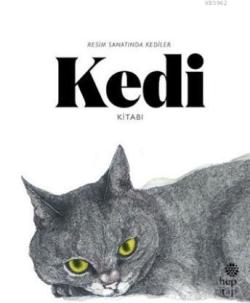 Kedi Kitabı: Resim Sanatında Kediler - Angus Hyland | Yeni ve İkinci E