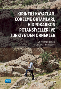 Kırıntılı Kayaçlar, Çökelme Ortamları, Hidrokarbon Potansiyelleri ve Türkiye’den Örnekler