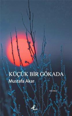 Küçük Bir Gökada - Mustafa Akar | Yeni ve İkinci El Ucuz Kitabın Adres