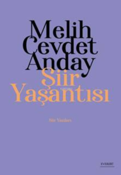 Melih Cevdet Anday; Şiir Yaşantısı