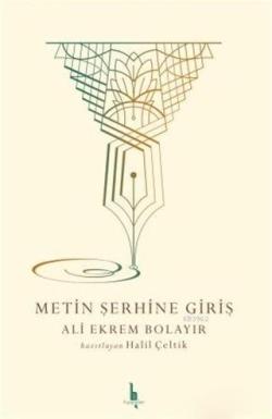 Metin Şerhine Giriş - Ali Ekrem Bolayır | Yeni ve İkinci El Ucuz Kitab