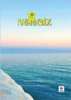 Nergiz - Ali Burhan Bilgiç | Yeni ve İkinci El Ucuz Kitabın Adresi