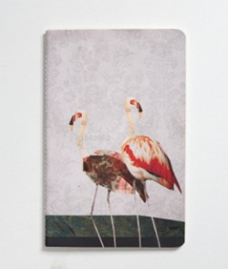 Nesin Defter-Flamingo - | Yeni ve İkinci El Ucuz Kitabın Adresi