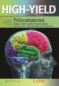 Nöroanatomi Hıgh Yıeld - Kolektif | Yeni ve İkinci El Ucuz Kitabın Adr