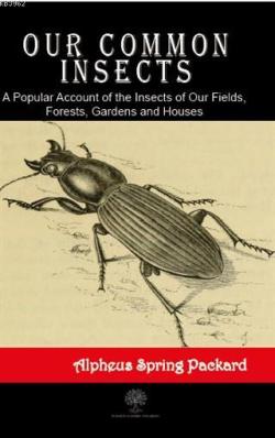 Our Common Insects A Popular Account of the Insects of Our Fields, For
