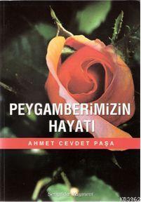 Peygamberimizin Hayatı - Ahmet Cevdet Paşa | Yeni ve İkinci El Ucuz Ki