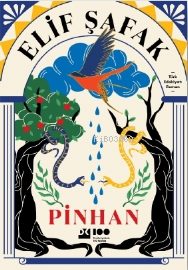 Pinhan - Elif Şafak | Yeni ve İkinci El Ucuz Kitabın Adresi