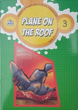 Plane On The Roof - 3
