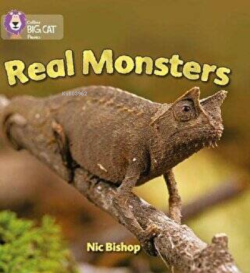 Real Monsters (Big Cat Phonics-3 Yellow)