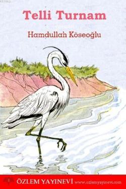 Telli Turnam - Hamdullah Köseoğlu | Yeni ve İkinci El Ucuz Kitabın Adr