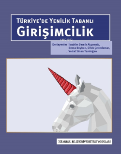 Türkiye'de Yenilik Tabanlı Girişimcilik