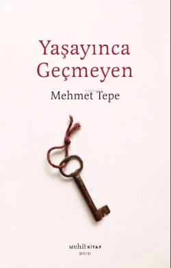 Yaşayınca Geçmeyen - Mehmet Tepe | Yeni ve İkinci El Ucuz Kitabın Adre
