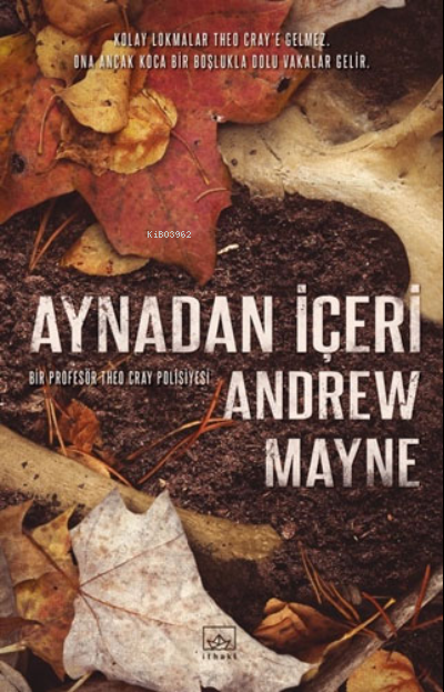 Aynadan İçeri - Andrew Mayne | Yeni ve İkinci El Ucuz Kitabın Adresi