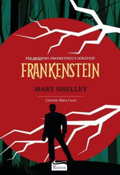Frankenstein ( Bez Ciltli ) - Mary Shelley | Yeni ve İkinci El Ucuz Ki