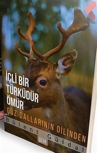İçli Bir Türküdür Ömür Güz Dallarının Dilinden - Bülent Güldal | Yeni 