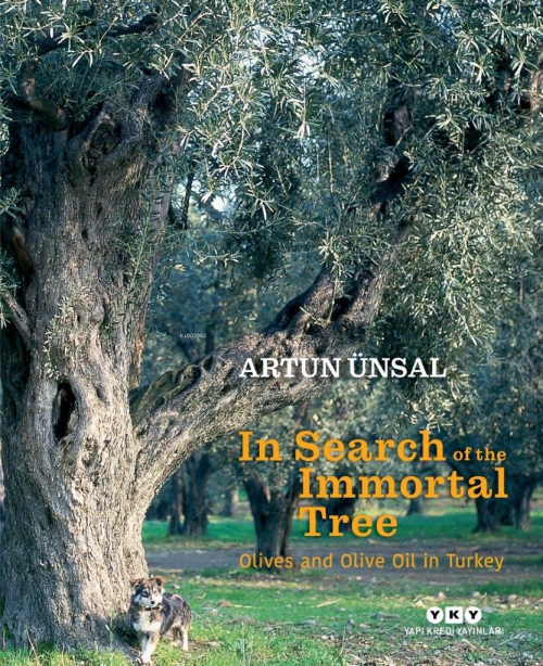 In Search Of The Immortal Tree/ Olives and Olive Oil in Turkey - Artun