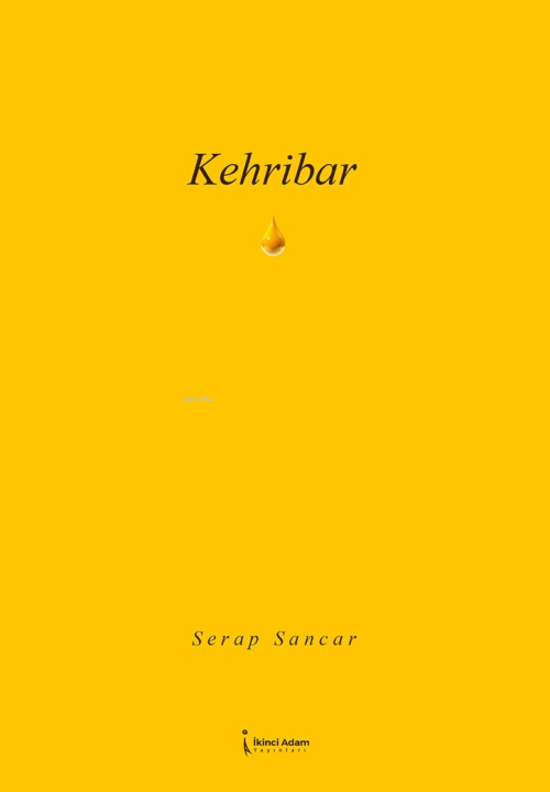 Kehribar - Serap Sancar | Yeni ve İkinci El Ucuz Kitabın Adresi