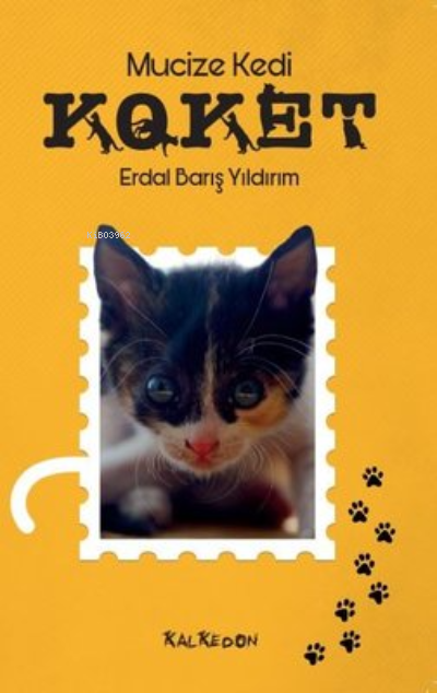 Mucize Kedi Koket - Erdal Barış Yıldırım | Yeni ve İkinci El Ucuz Kita