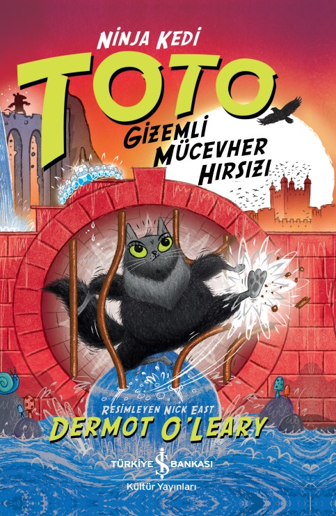 Ninja Kedi Toto – Gizemli Mücevher Hırsızı - Dermot O’leary | Yeni ve 