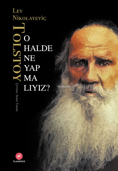 O Halde Ne Yapmalıyız? - Lev Nikolayeviç Tolstoy | Yeni ve İkinci El U
