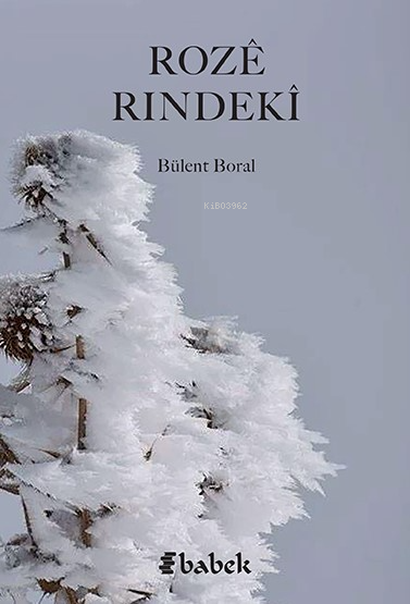 Rozi Rindeki - Bülent Boral | Yeni ve İkinci El Ucuz Kitabın Adresi