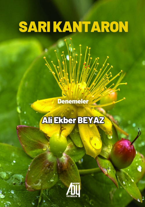 Sarı Kantaron - Ali Ekber Beyaz | Yeni ve İkinci El Ucuz Kitabın Adres