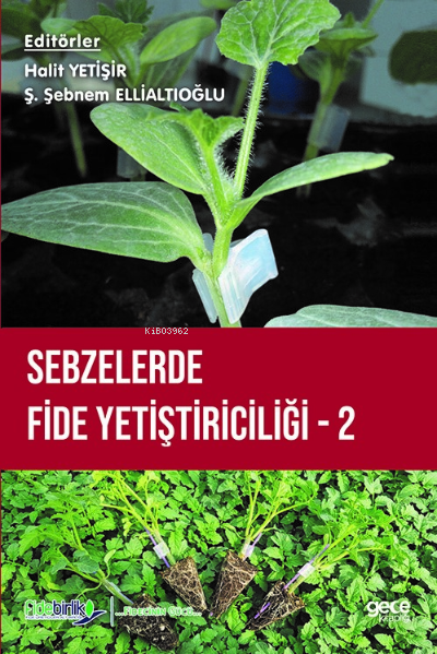Sebzelerde Fide Yetiştiriciliği 2 - Ş. Şebnem Ellialtıoğlu | Yeni ve İ