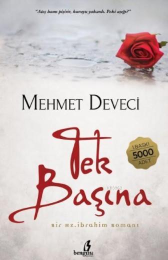 Tek Başına - Mehmet Deveci | Yeni ve İkinci El Ucuz Kitabın Adresi