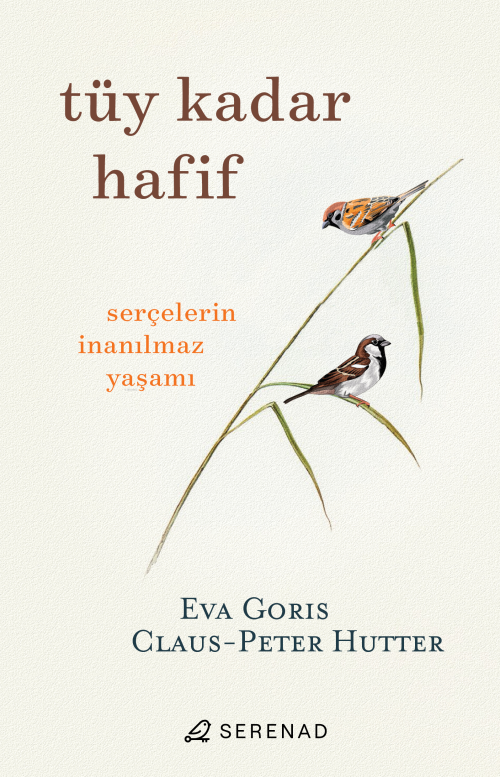 Tüy Kadar Hafif - Eva Goris | Yeni ve İkinci El Ucuz Kitabın Adresi