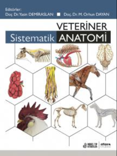 Veteriner Sistematik Anatomi - Yasin Demiraslan | Yeni ve İkinci El Uc
