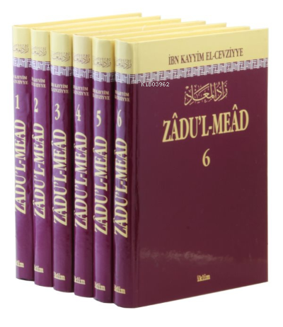Zadu'l Mead Tercümesi (6 Cilt Takım) - İbn-i Kayyım El-Cevziyye | Yeni